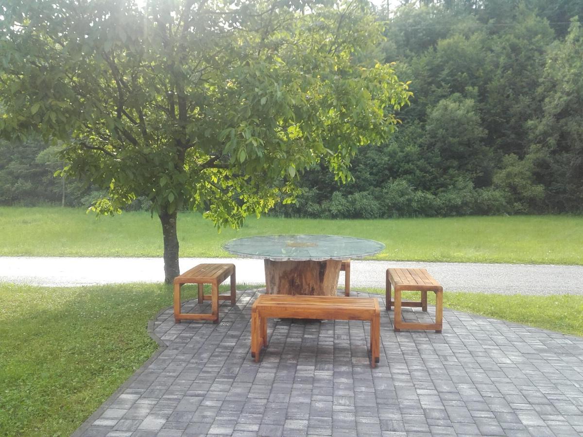 Simnovi Apartmaji - Surrounded By Nature Kamnik Esterno foto
