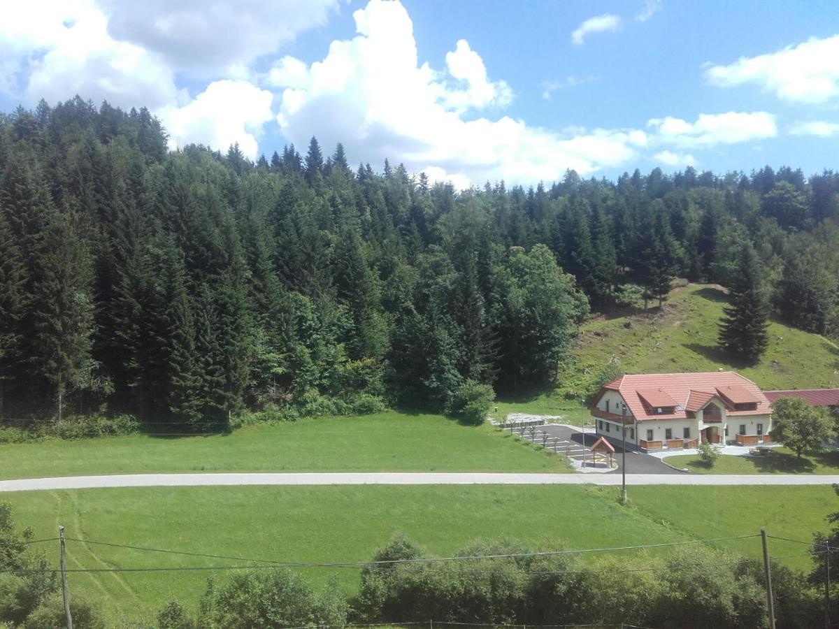 Simnovi Apartmaji - Surrounded By Nature Kamnik Esterno foto