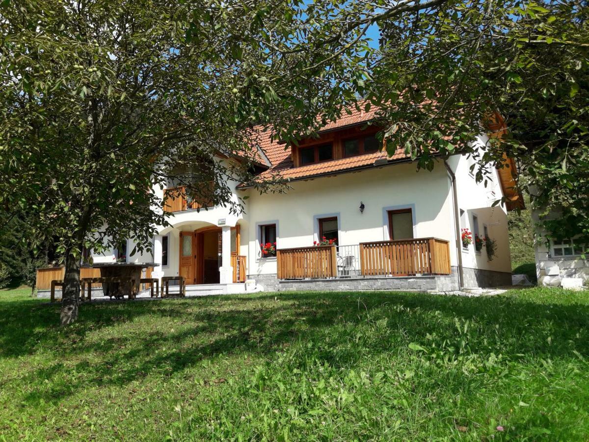 Simnovi Apartmaji - Surrounded By Nature Kamnik Esterno foto
